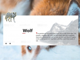 html滑块代码动物介绍页面模板