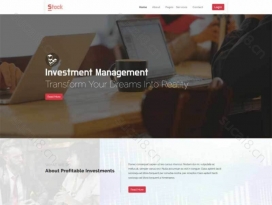 宽屏的商业金融投资管理公司网站模板