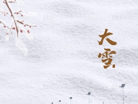 简约大雪初冬雪景24节气背景海报